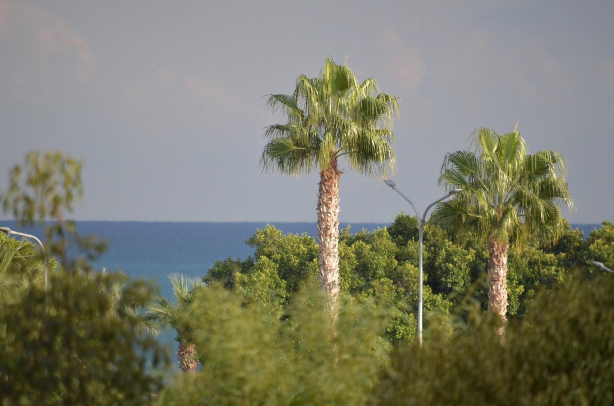Modern Apartment Near Mckenzie Beach Larnaca Exterior foto